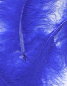 8 gram Royal Blå Dekorativa Fjädrar 6-12 cm