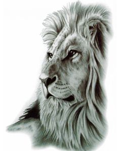 Lion's Pride (Fake Tattoo)