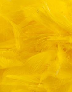 50 gram Gula Dekorativa Fjädrar 6-12 cm