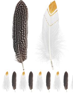 12 stk Bruna och Vita Indian Fjädrar