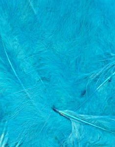 8 gram Turkos Dekorativa Fjädrar 6-12 cm
