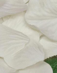 Elfenbensfärgade Rosblad 164 Delar