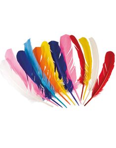 12 stk Stora Fjädrar i Olika Färger 30 cm