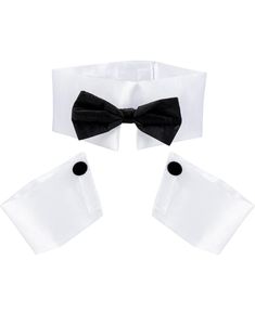 Strippar-Kit med Krage och Armcuffs