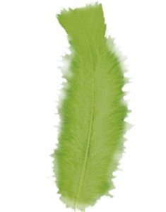 50 st Dekorationsfjädrar – Limegrön