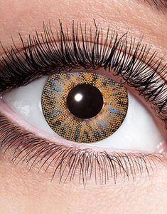 STYRKALINSER Bruna naturfärgade linser