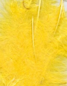 8 gram Gula Dekorativa Fjädrar 6-12 cm