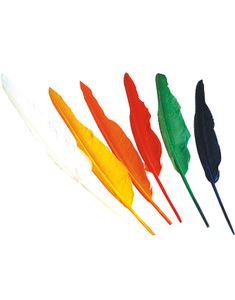 12 stk Långa Indian Fjädrar ca 30 cm