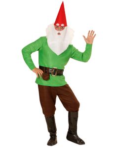 Komplett Grön Dvärgdräkt (Herr)
