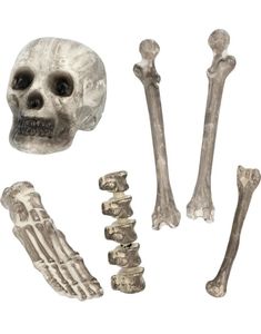 Dekorationssæt Med Benrester 6 St